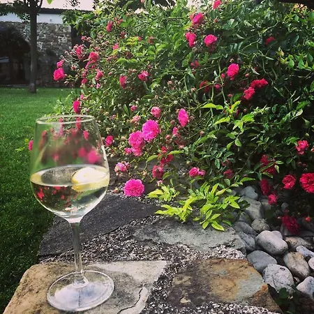 Holiday home La Casa Ponca Cormons